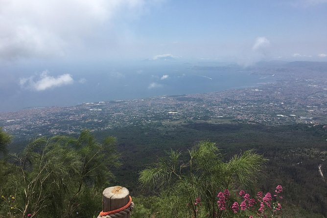 Daily Excursion Full Day 8 Hours ( Vesuvio Pompei) - Private group energy: less waiting, more flexibility