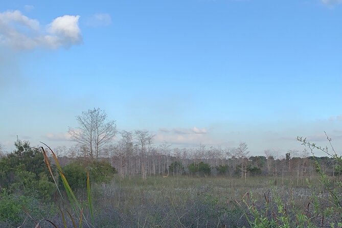 Dark Sky's in the Florida Everglades - From swamp trails to star charts: how the full 4-hour flow works