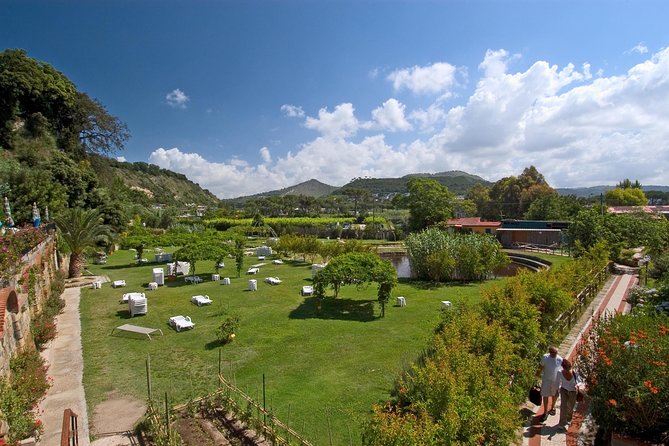 Day SPA like an ancient Roman - Mud by the lake and spring-fed thermal park