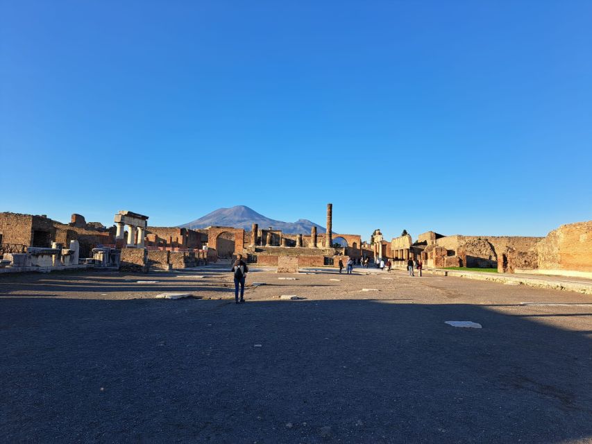 Day Trip to Pompeii & Vesuvius from Naples - Pompeii skip-the-line: what your archaeologist helps you see