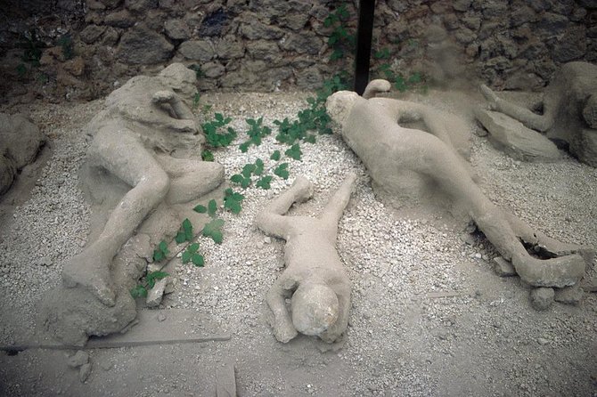 Daytrip from Naples port to Pompei, Sorrento & Positano - Pompeii and Positano need different energy levels, and this tour manages that