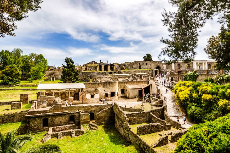 Discover Mt. Vesuvius: Private 3-Hour Tour from Pompeii - Meeting point at Pompeii and the Villa dei Misteri handoff