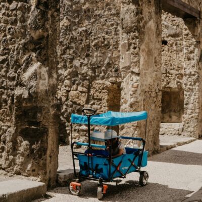 Discover Pompeii: French Walking Tour of the Buried City - The value of skip-the-line at Pompeii (and what it does for your day)