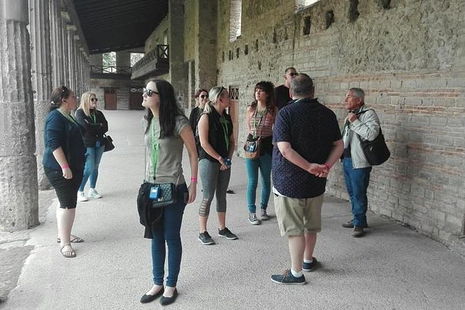 Discover Pompeii on this Guided Walking Tour of the Buried City - Mount Vesuvius context: why the eruption matters to what you see