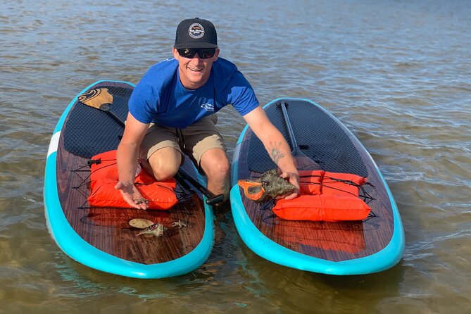 Dolphin and Manatee Tour of Marco Island by Kayak or SUP - Key highlights before you go