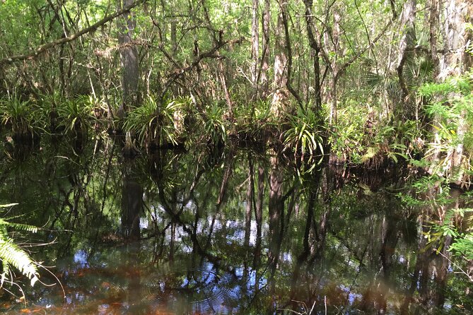 E-Bike Adventure - Fakahatchee Strand - Stop 2: East River Canoe Launch, Brackish Water, and Mangrove Tunnels