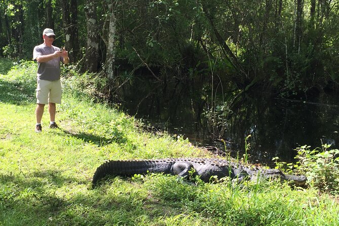 E-Bike Adventure - Fakahatchee Strand - Stop 3: Jones Grade Lakes and Trail (Plus the No-Swimming Rule)