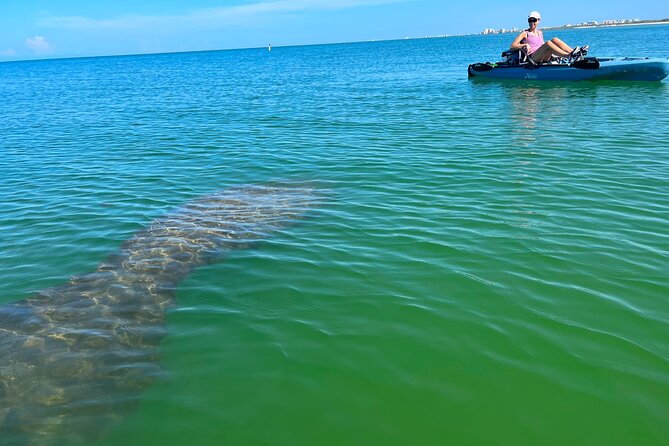 Elite Hobie Kayak Experience: Ultimate Premium Eco Adventure! - Quick hits: why this Hobie trip is so popular