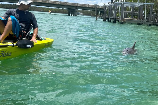 Elite Hobie Kayak Experience: Ultimate Premium Eco Adventure! - Dolphins, safety, and Mike’s style of guiding