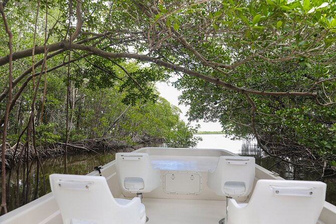 Everglades Mangrove Wilderness Boat Tour - Key things that make this tour worth your time