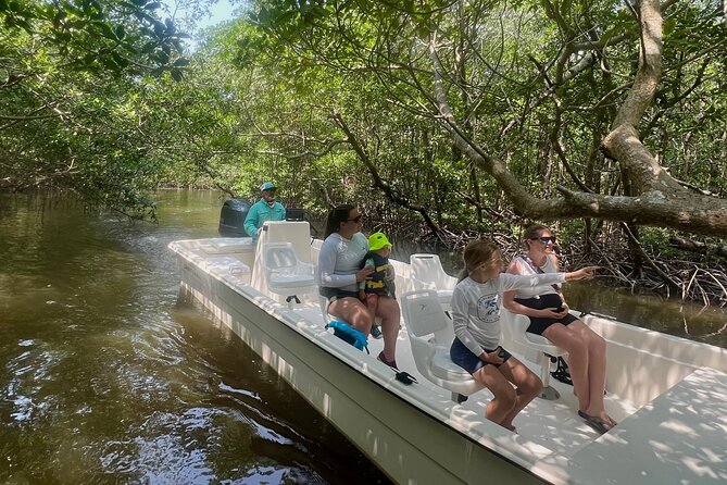 Everglades Mangrove Wilderness Boat Tour - A small boat through mangrove channels: why the experience feels special