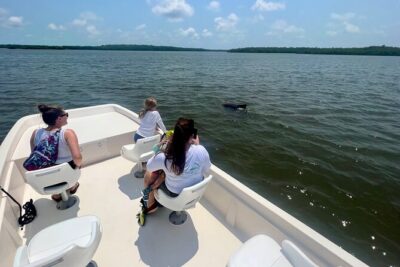 Everglades Mangrove Wilderness Boat Tour - Ten Thousand Islands mangroves: what you’ll see during the main ride