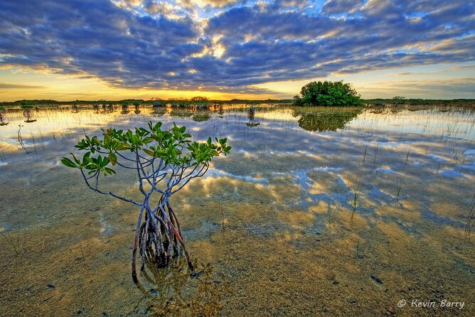 Everglades Mangrove Wilderness Boat Tour - Comfort, weather reality, and what to bring