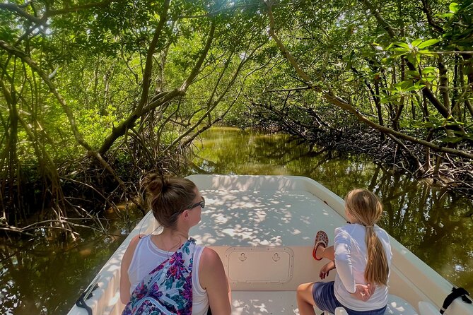 Everglades Mangrove Wilderness Boat Tour - Who should book this mangrove wilderness boat tour (and who might not)