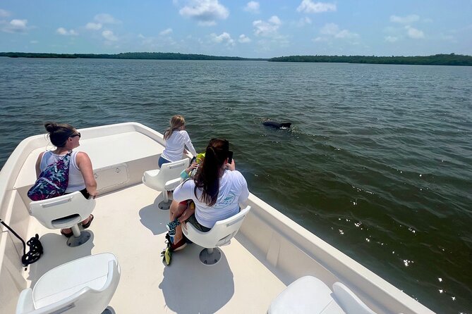 Everglades Mangrove Wilderness Boat Tour - Ten Thousand Islands mangroves: what you’ll see during the main ride