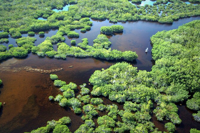 Everglades National Park Boat Tour - Boat comfort and onboard details that make a difference