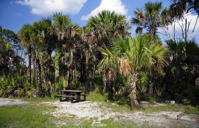 Everglades National Park Naturalist Led Hike, 2 Boat Trips + More - The Naples-to-Everglades Plan: What 9 Hours Buys You