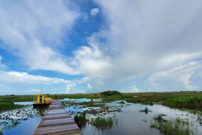 Everglades National Park Naturalist Led Hike, 2 Boat Trips + More - Everglades National Park Stop: Visitor Stamp + Alligator and Bird Time