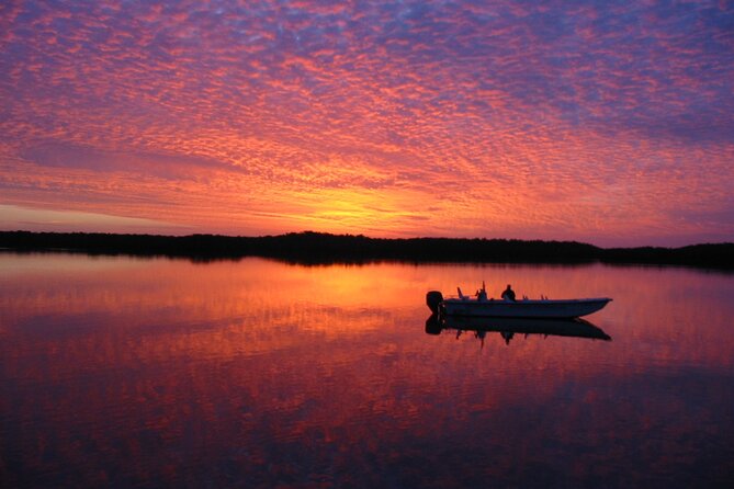 Everglades Small Group Guided Boating and Walking Expedition - Price and value from Naples: what $199.95 is really buying