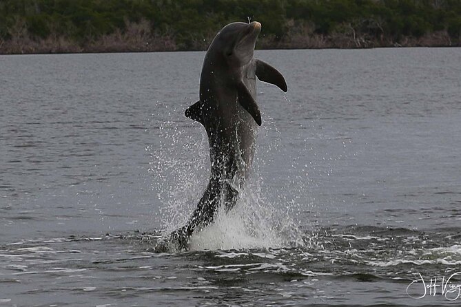 Everglades Small Group Guided Boating and Walking Expedition - Bring the right stuff: what to pack for sun, water, and fast sightings