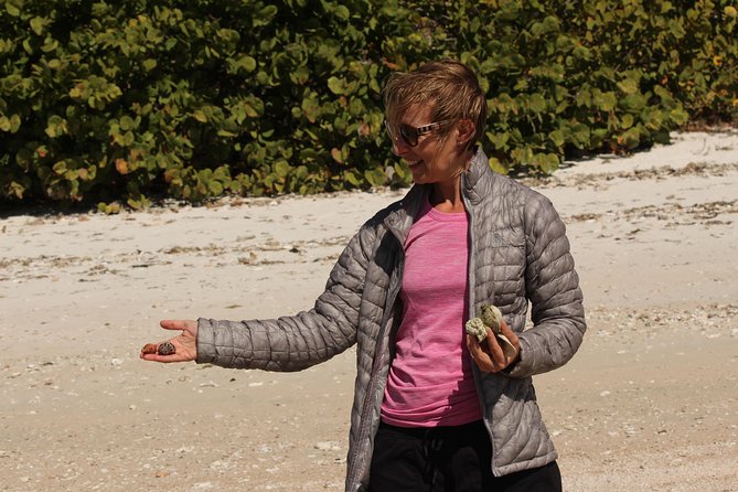 Everglades Small Group Guided Boating & Walking Tour Expedition - Price and value: is $199.95 worth it?