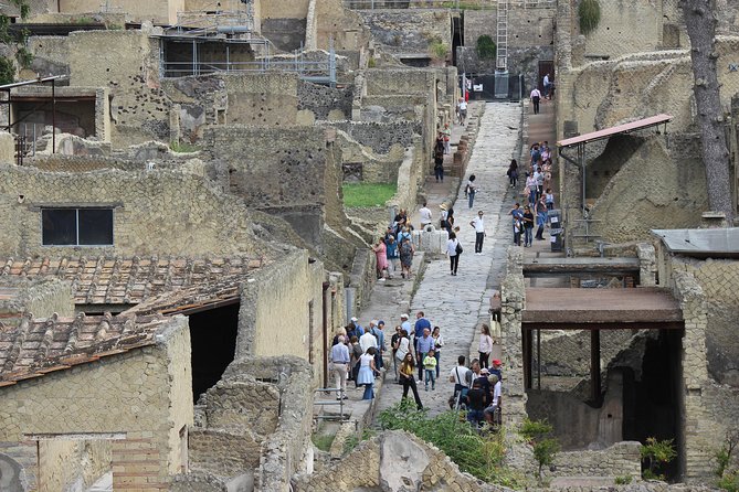 Excavations of Herculaneum. Tour guide and skip-the-line ticket - Who this tour is best for (and who might skip it)