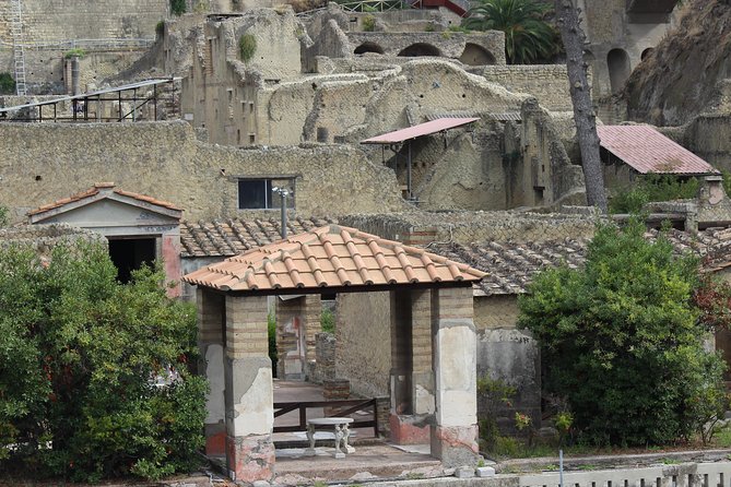 Excavations of Herculaneum. Tour guide and skip-the-line ticket - What the guide-and-ticket combo actually buys you