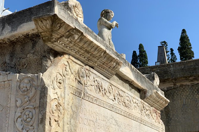 Excellence Private Herculaneum Guided Tour with an Archeologist - Price and value: $294.55 for up to 12 people