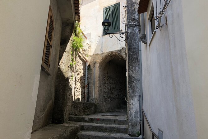 Exclusive Private Tour: Explore Pompeii and the Amalfi Coast - Entering Pompeii like a local: Forum life, luxury homes, and the tragic casts