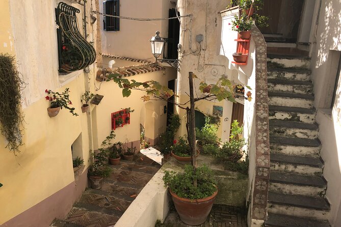 Exclusive Private Tour: Explore Pompeii and the Amalfi Coast - Price and value: what you’re paying for at $385.53 per person