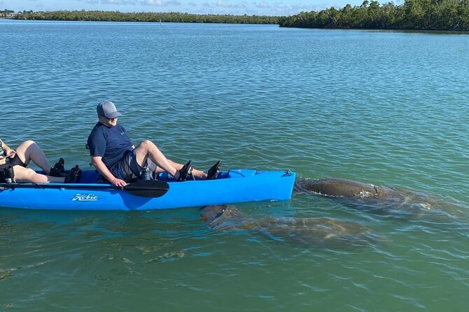 Exclusive Relax & Explore Pedal Kayak Tour Marco Island & Naples - Getting to the water: 10:00 AM departure at Capri Paddlecraft Park