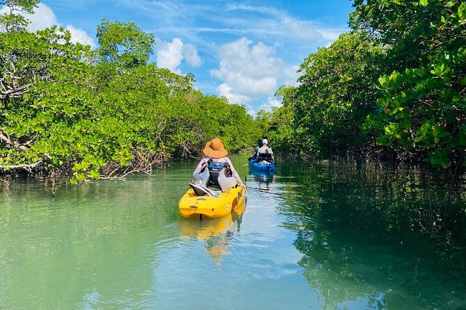 Exclusive Relax & Explore Pedal Kayak Tour Marco Island & Naples - What’s included (and why it’s not just check-the-box stuff)