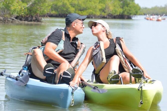 Exclusive Relax & Explore Pedal Kayak Tour Marco Island & Naples - Wildlife spotting: what to watch for without getting stressed