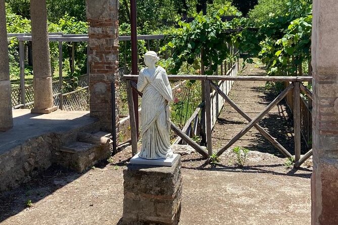 Exclusive tour in Sorrento and Pompeii with transport and tickets - Stop 4: Pompeii Forum and the Big Public Sights