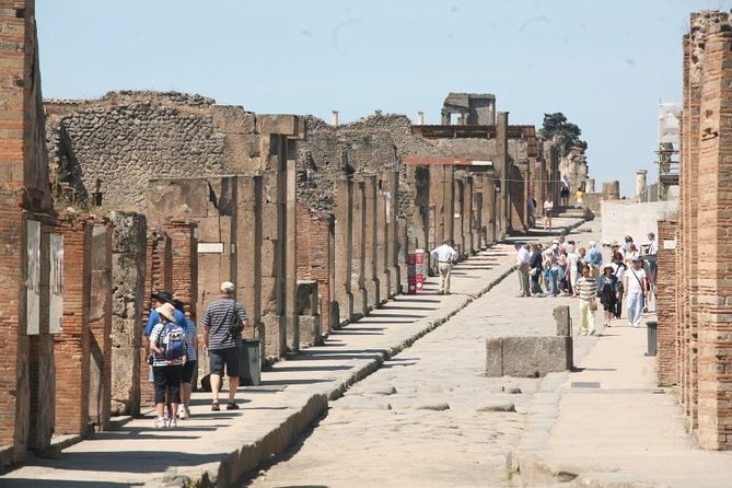 Explore Pompeii: 2-Hour Guided Walking Tour with Included Ticket - Skip the Line at Pompeii: What the Included Ticket Really Buys You