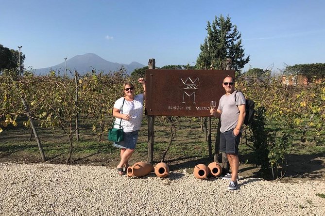 Explore Pompeii: Private Tour, Wine Tasting & Lunch - Wine Tasting + 3-Course Lunch: What’s Included and What Isn’t
