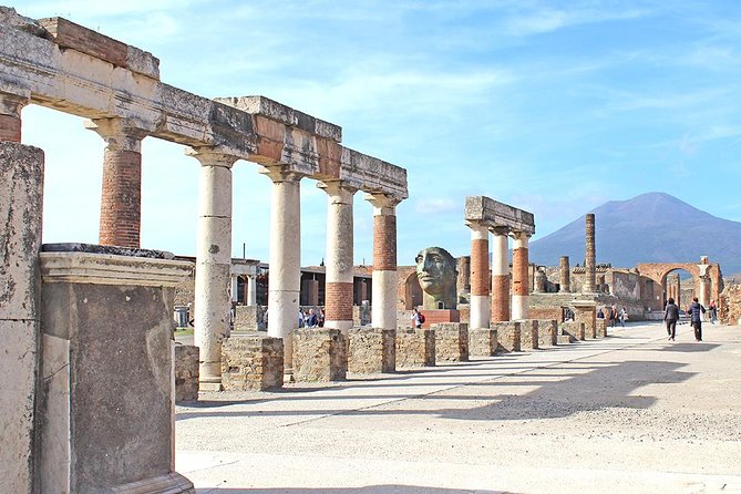 Fast Access Exclusive Private Ancient Pompeii Half Day Tour with Local Guide - The main catch: it’s a sprint, not a linger