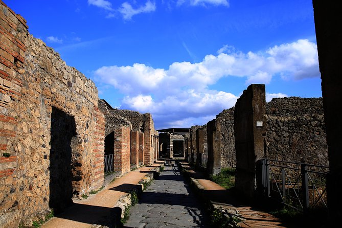 Fast Access Exclusive Private Ancient Pompeii Herculaneum & Oplontis Guided Tour - Value check: is $411.55 per person worth it?