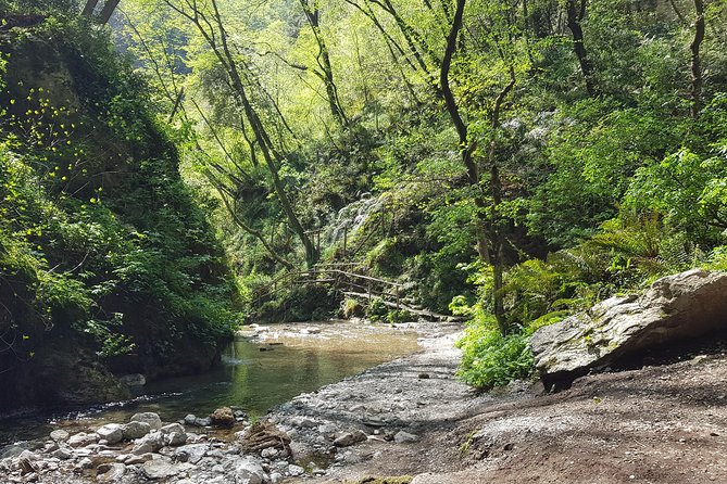 Ferriere waterfalls hike - Amalfi and Ravello Coast - Key highlights to look for