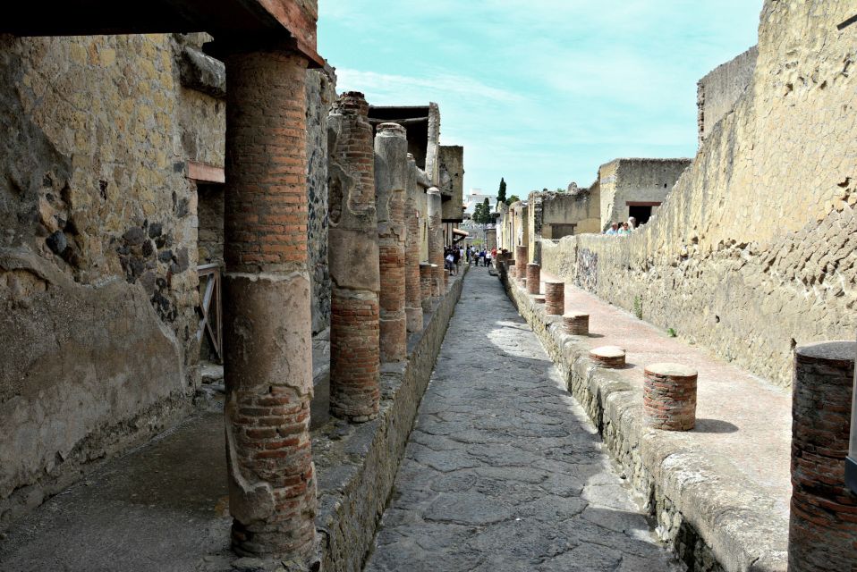From Naples: 2-Hour Herculaneum Kid-Friendly Tour - Northern Cardo, Thermopolium, and the Forum: Seeing Daily Life