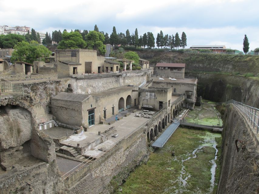 From Naples: 2-Hour Herculaneum Kid-Friendly Tour - Price and Value from Naples: What You’re Actually Getting