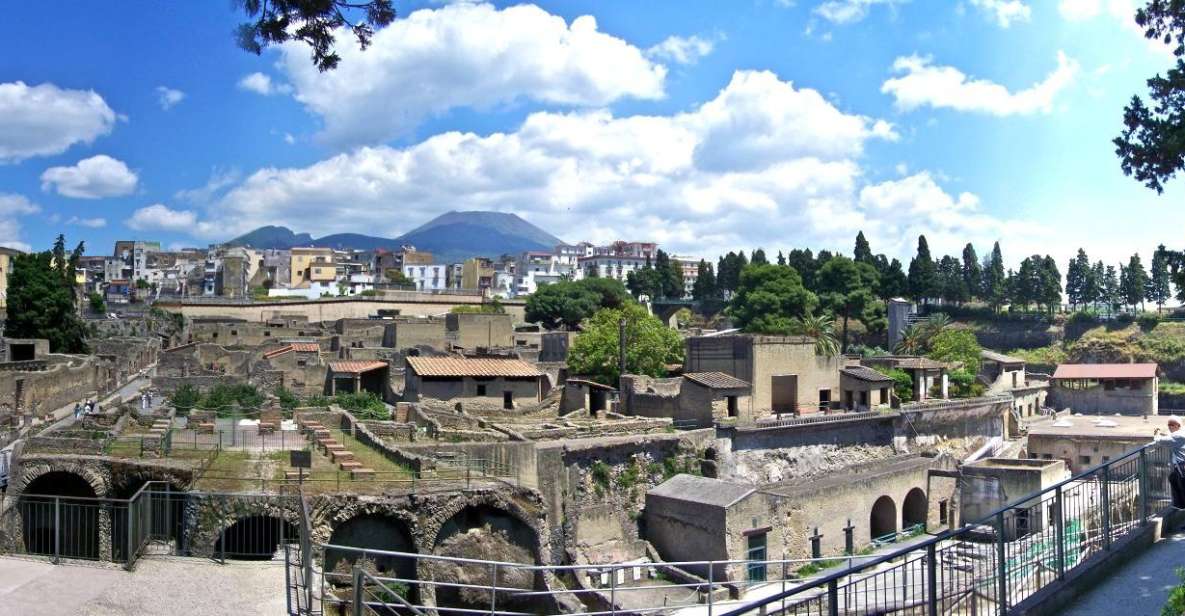 From Naples: Day Trip to Herculaneum with skip the line - Key Points to Know Before You Go