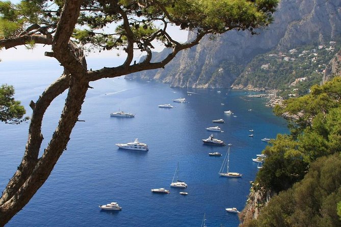 From Naples: Full-Day Capri Island and Blue Grotto Tour - Group Size and Logistics: Where the Day Feels Smooth (or Not)