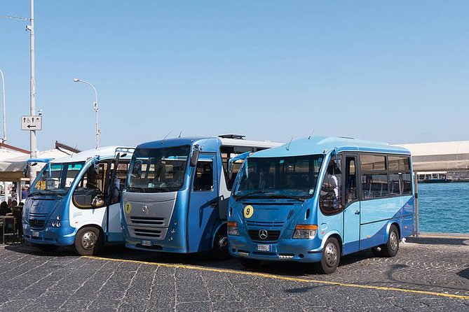 From Naples: Guided Capri Tour with Blue Grotto Included - Capri town walking tour and the Augustus Gardens option