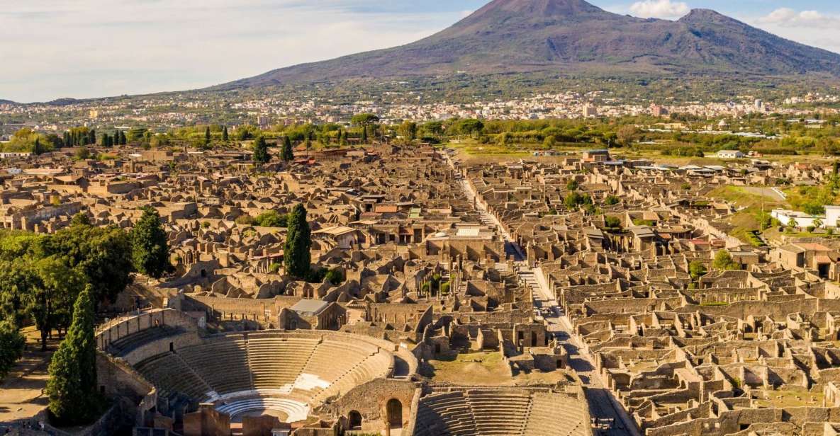 From Naples: Guided Pompei & Mount Vesuvius with Pizza Lunch - Pompeii guided tour: streets, public spaces, and daily life