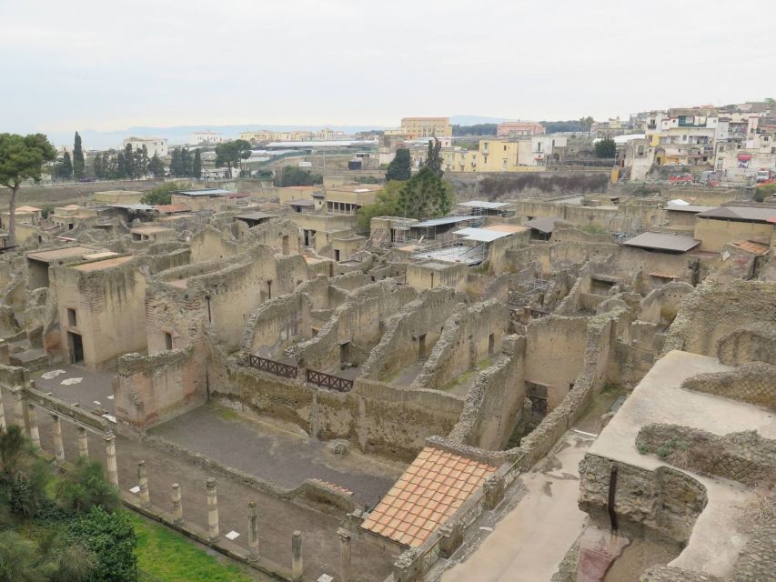 From Naples: Herculaneum, Mount Vesuvius & Pompeii Day Trip - Tour pacing and real-world tips to enjoy the long day