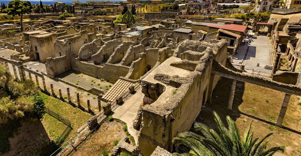 From Naples: Herculaneum, Vesuvius, and Pompeii Trip - Price and value: what you’re really paying for
