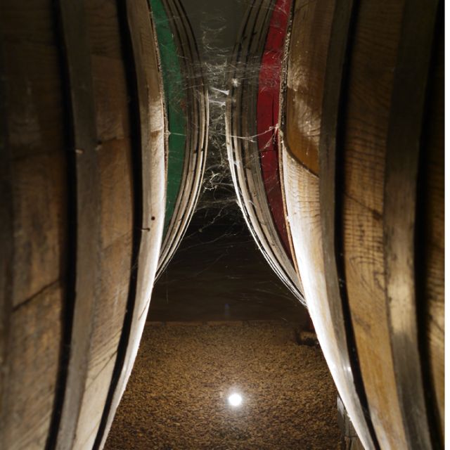 From Naples: Irpinia Wine Tour with 6 Tastings - From Naples to Irpinia: the Apennine drive that shapes the day