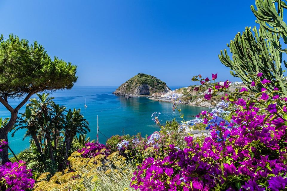 From Naples: Ischia Day Trip with Ferry Tickets and Lunch - Naples to Ischia: Molo Beverello, the 8:00 Start, and the Ferry Reality
