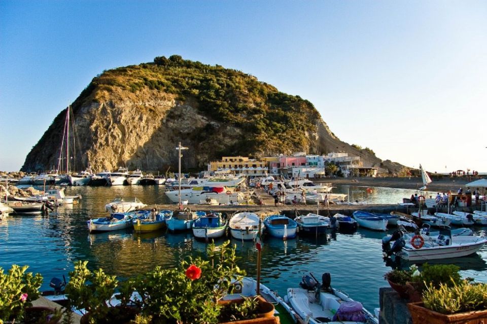 From Naples: Ischia Day Trip with Ferry Tickets and Lunch - Should You Book This Ischia Day Trip?